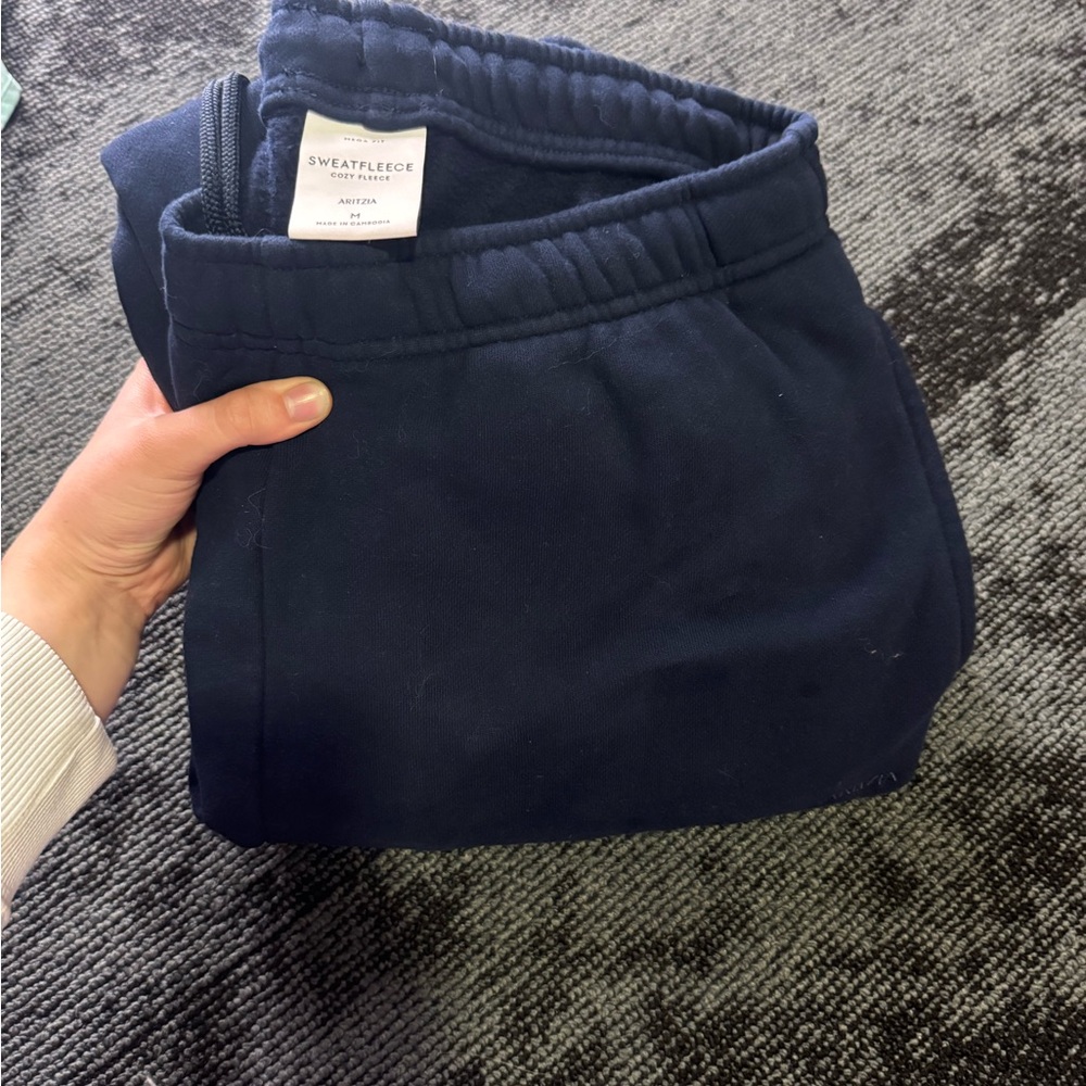 Aritzia Sweat Pants